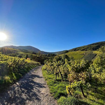Chambre Du Vigneron - Domaine Leon Bleesz Reichsfeld Exteriör bild