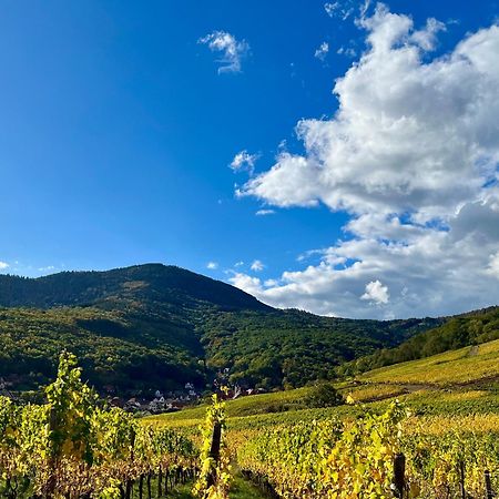 Chambre Du Vigneron - Domaine Leon Bleesz Reichsfeld Exteriör bild