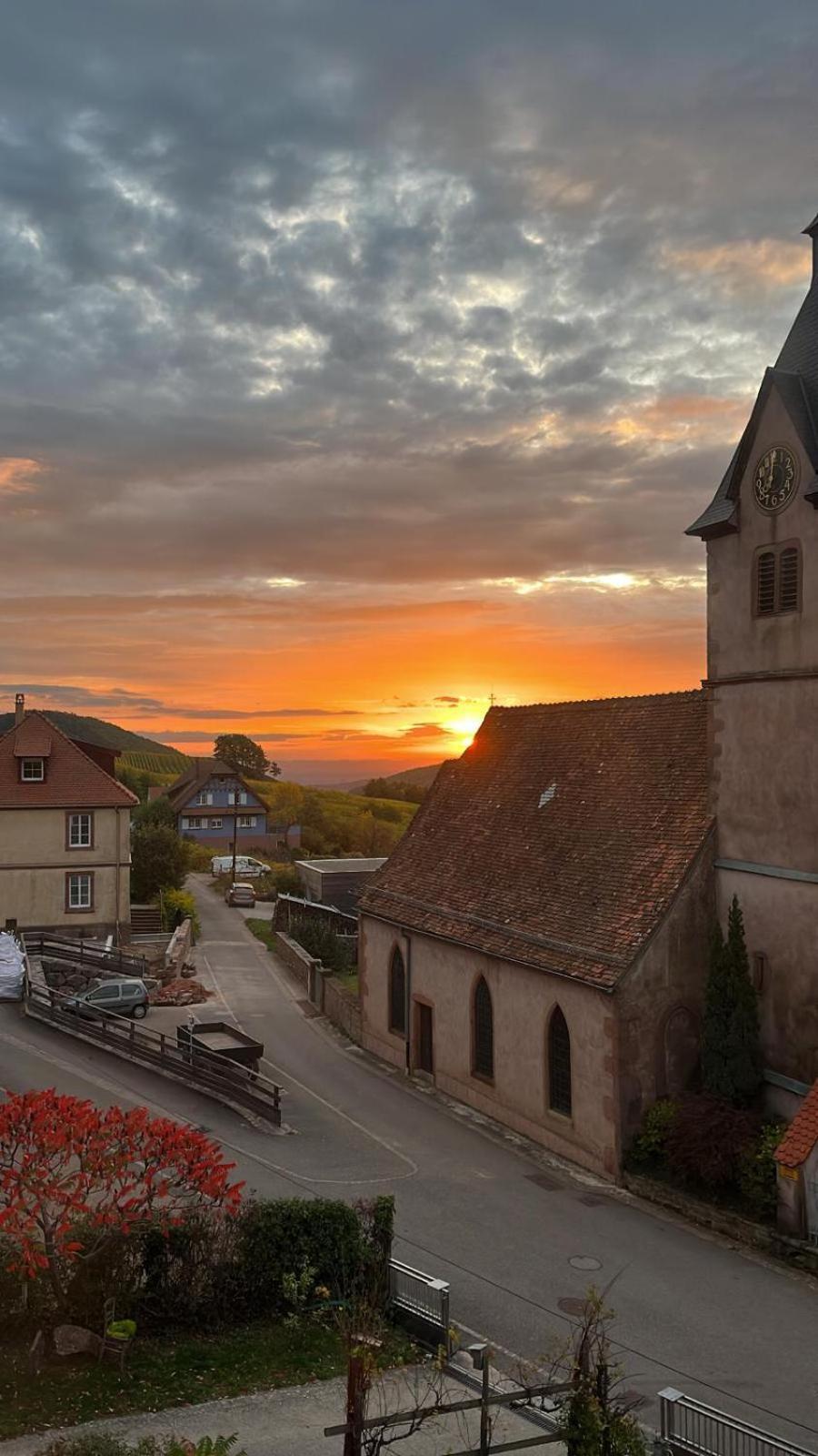 Chambre Du Vigneron - Domaine Leon Bleesz Reichsfeld Exteriör bild