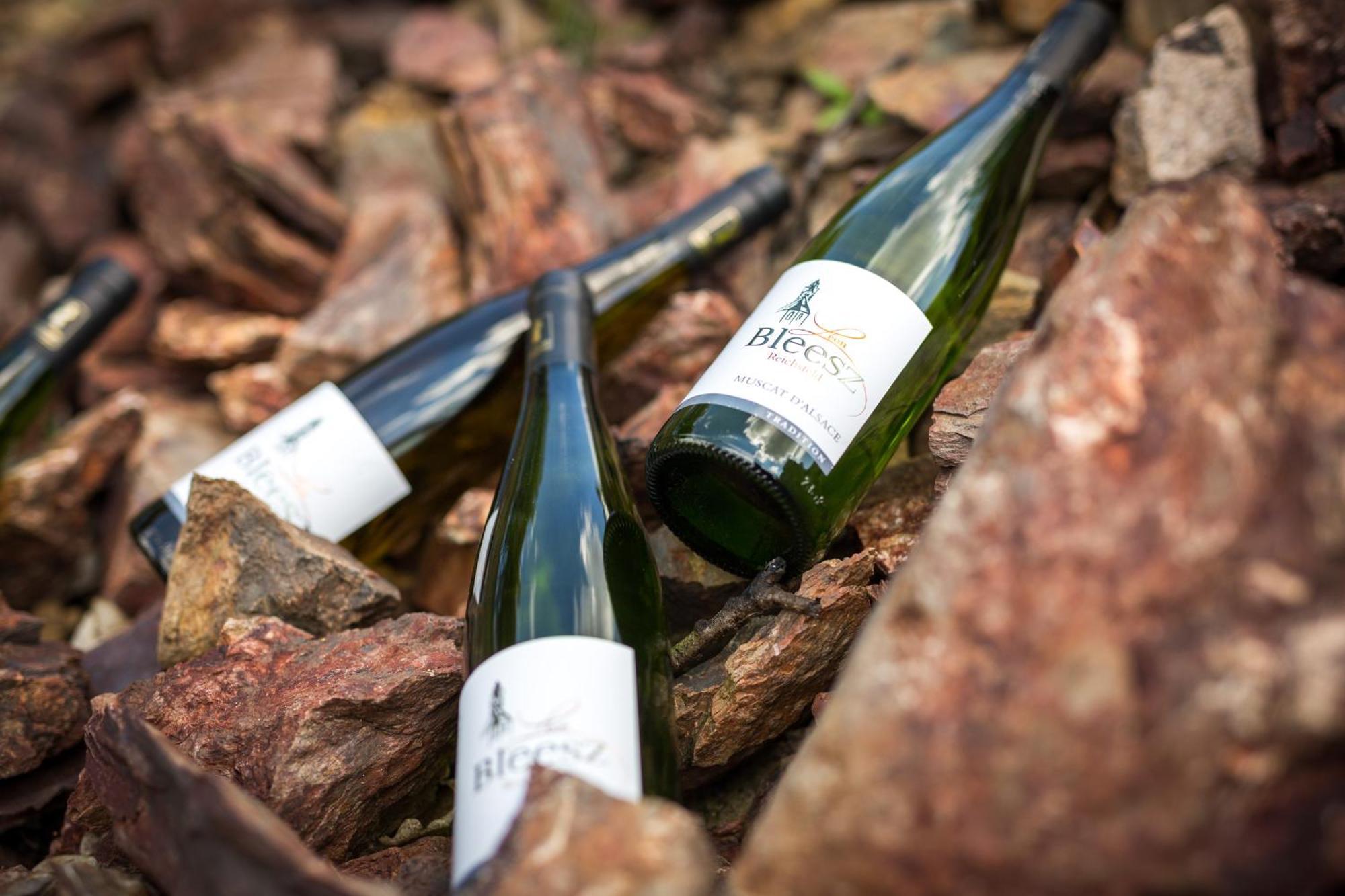 Chambre Du Vigneron - Domaine Leon Bleesz Reichsfeld Exteriör bild