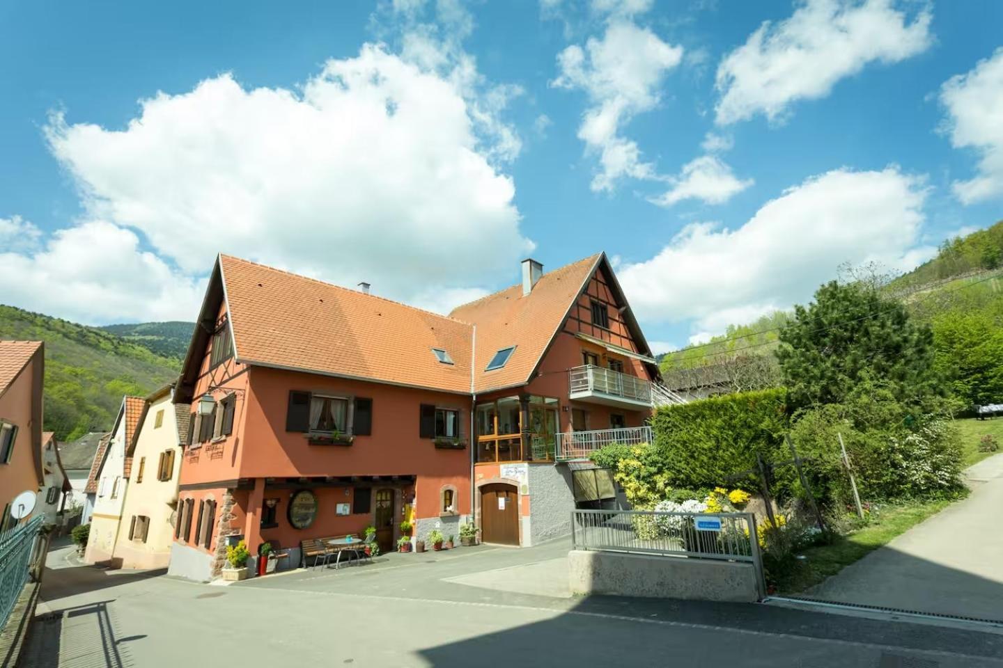 Chambre Du Vigneron - Domaine Leon Bleesz Reichsfeld Exteriör bild